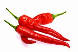 Fresh red hot chili pepper