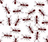 Seamless ants