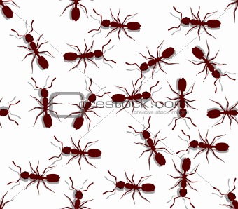 Seamless ants