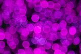 Purple abstract lights