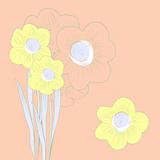 Pink  background with narcissus flowers