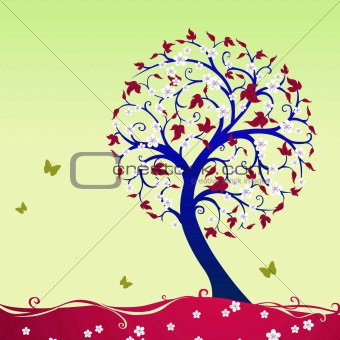 tree with 4 seasons