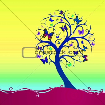 tree with 4 seasons