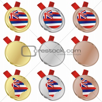 hawaii vector flag in medal shapes