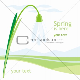vector spring day card