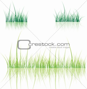 Set of grass.