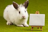 Bunny on table,frame