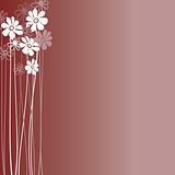 Creative design with flowers on a burgundy background