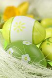 Green Easter eggs and daffodil