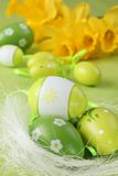 Green Easter eggs and daffodils