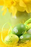 Green Easter eggs and daffodils