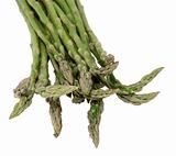 Isolated Asparagus