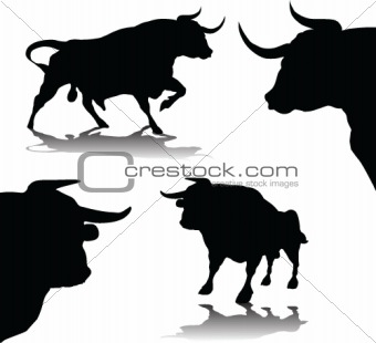 Bulls Icon