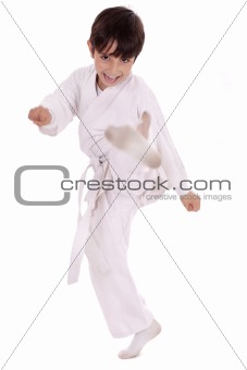 Karate boy excercising