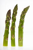 fresh green asparagus on a white background
