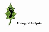 Ecological footprint
