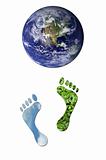 Ecological footprints