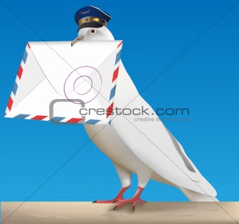 pigeon carrier