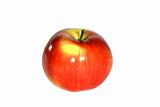 Red Apple on White Background