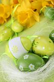 Green Easter eggs and yellow daffodils