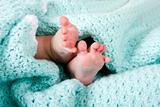 Baby feet in blanket