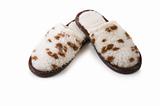 Picture of leopard slippers