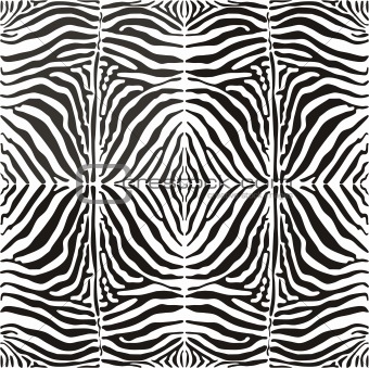 Vector seamless background skin zebra