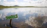 Lake with humorous sharks sign