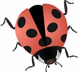  illustration of a ladybug isolated on white