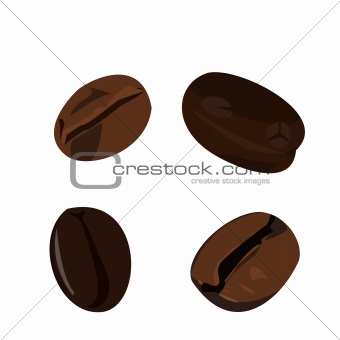 Realistic illustration coffee bean