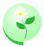 Eco green button