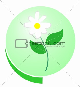 Eco green button