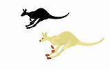Running kangaroo isolated on a white background