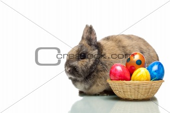 Easter bunny near a basket full of colorful Easter eggs 