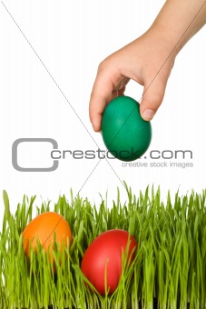 Kid hand putting colorful easter eggs in the grass - isolated