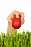 Kid hand with red easter egg over green grass