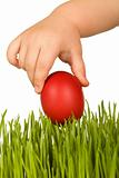 Kid hand holding red easter egg over green grass