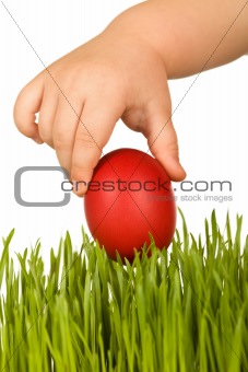 Kid hand holding red easter egg over green grass