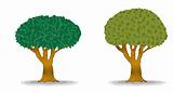 green trees with detail leaves illustration