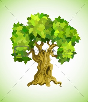 green tree oak as ecology symbol