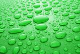 Green water drops background