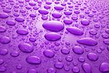 Violet water drops background