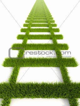 grassy railroad