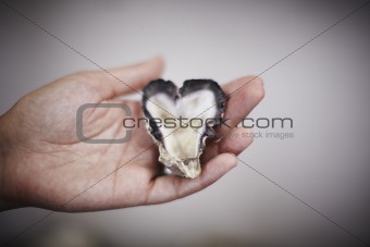 Heart shaped oyster in a palm of a hand