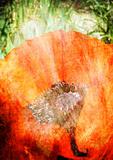 Vintage Poppy flower 2