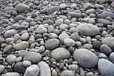 Pebbles on Pebble Beach