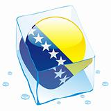vector illustration of bosnia and herzegovina button flag frozen in ice cube