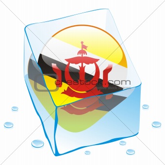 vector illustration of brunei button flag frozen in ice cube