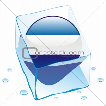 illustration of el salvador button flag frozen in ice cube