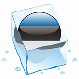vector illustration of estonia button flag frozen in ice cube
